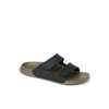 OASIS ADAPT
