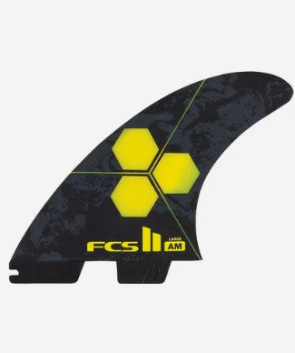 FCS II AM PC TRI RETAIL FINS