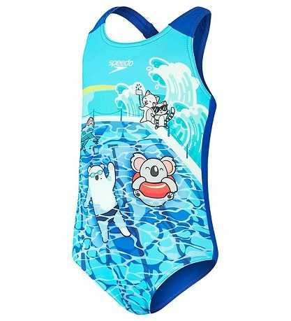 DIGI PLMT ALV 1PC IF