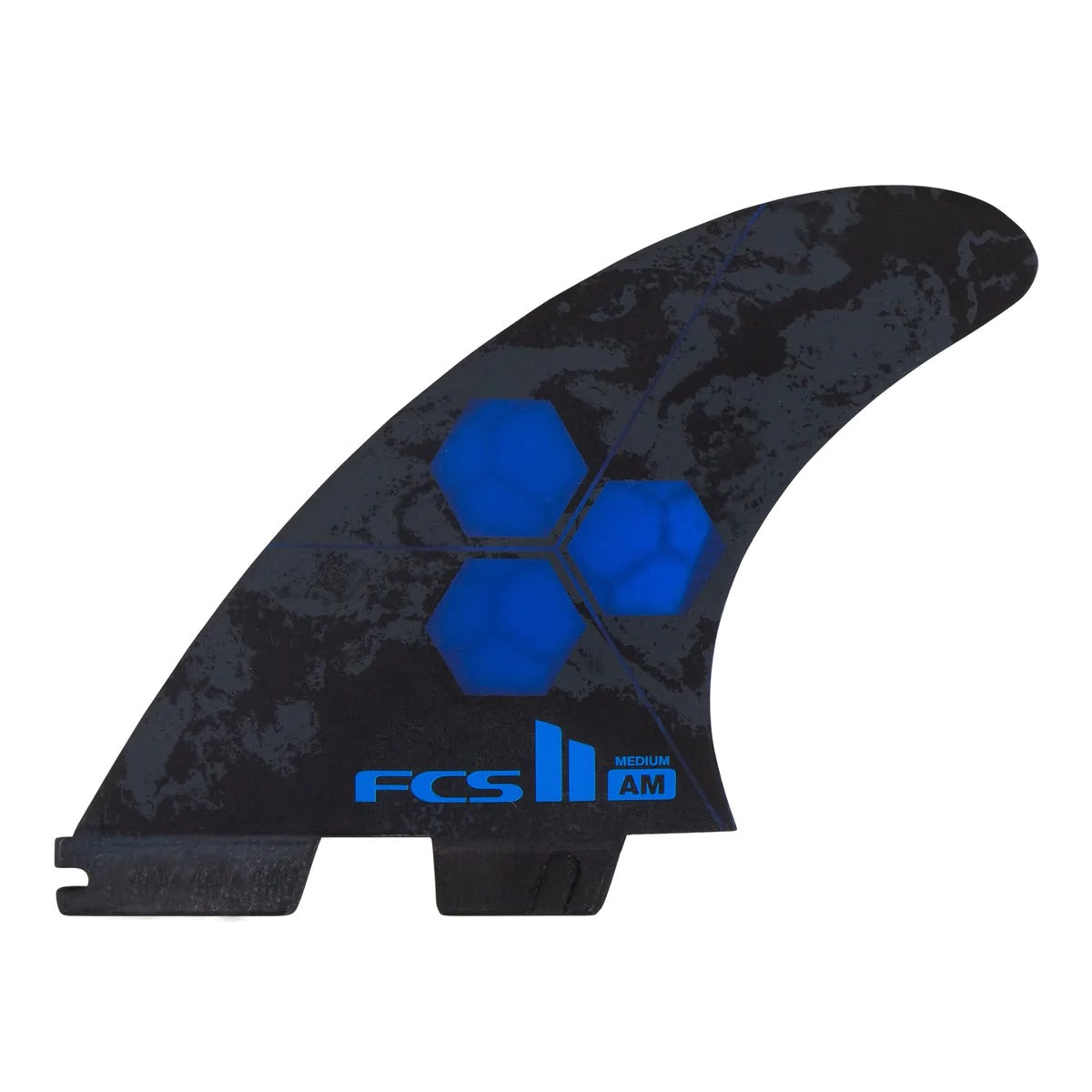 FCS II AM PC TRI RETAIL FINS